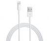 IPhone 5 Lighting Cable